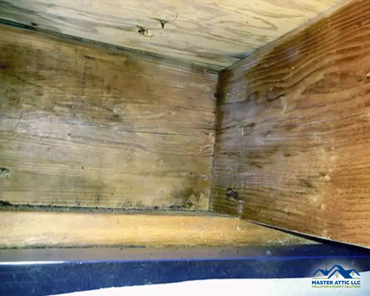 3 Reasons Why You Should Fix a Wet Crawl Space