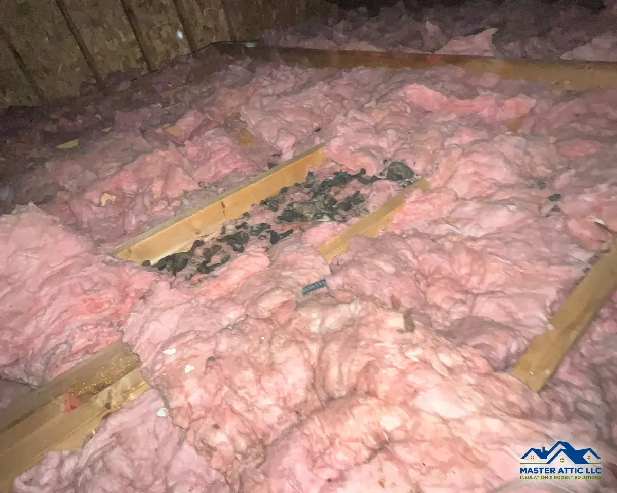 5 Signs of Insulation Problems in the Summer