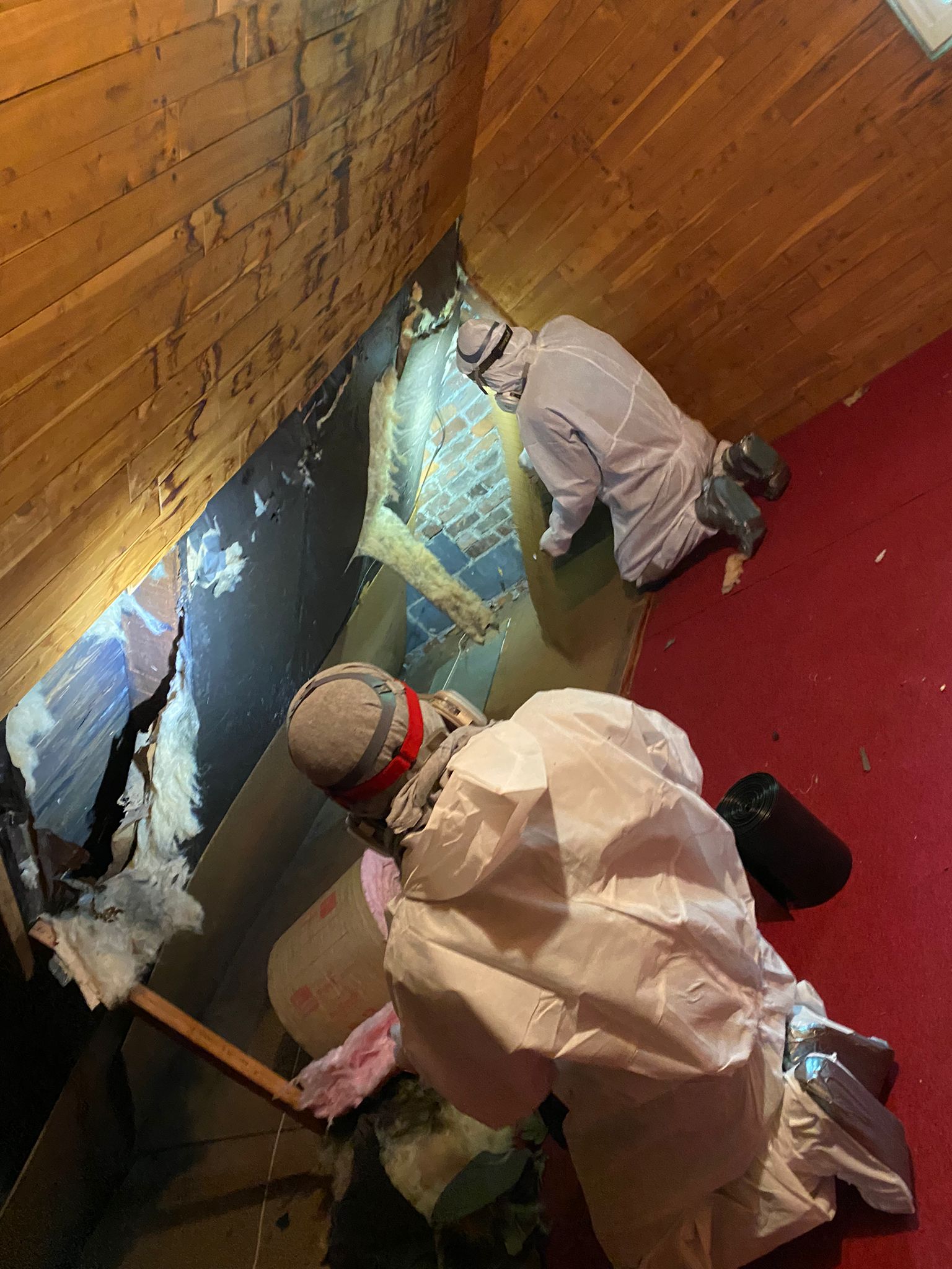Removing attic insulation with professional tools and safety gear for efficient attic insulation rem.