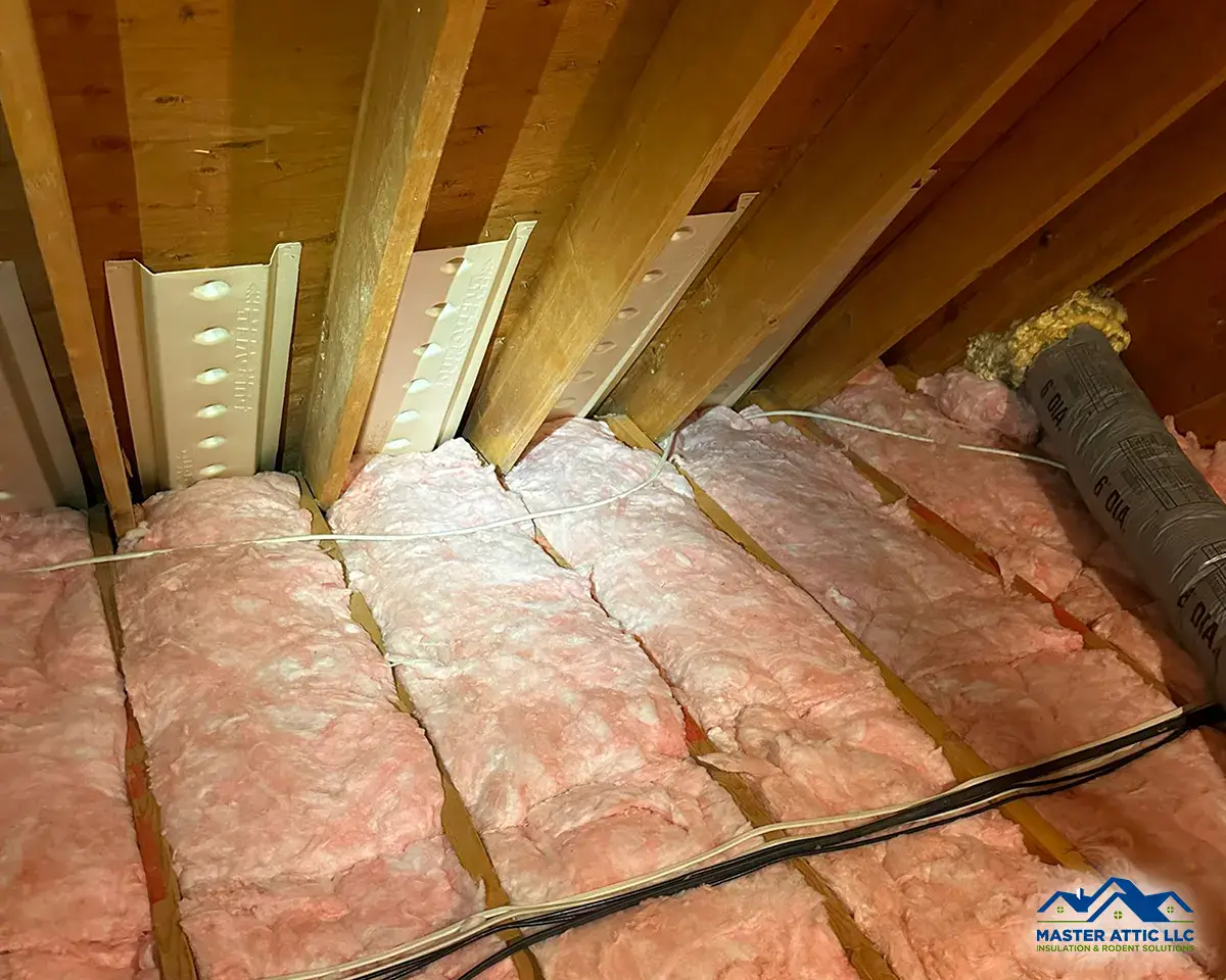 Check Attic Insulation