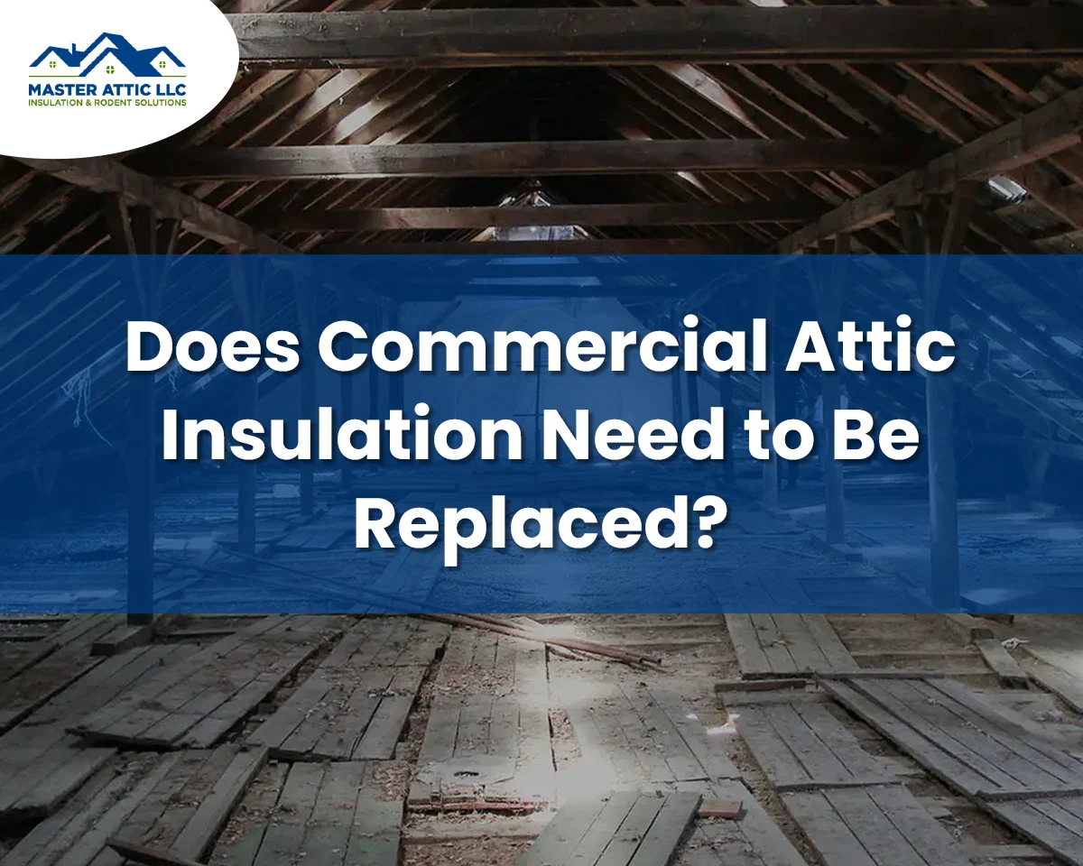 Does Commercial Attic Insulation Need to Be Replaced
