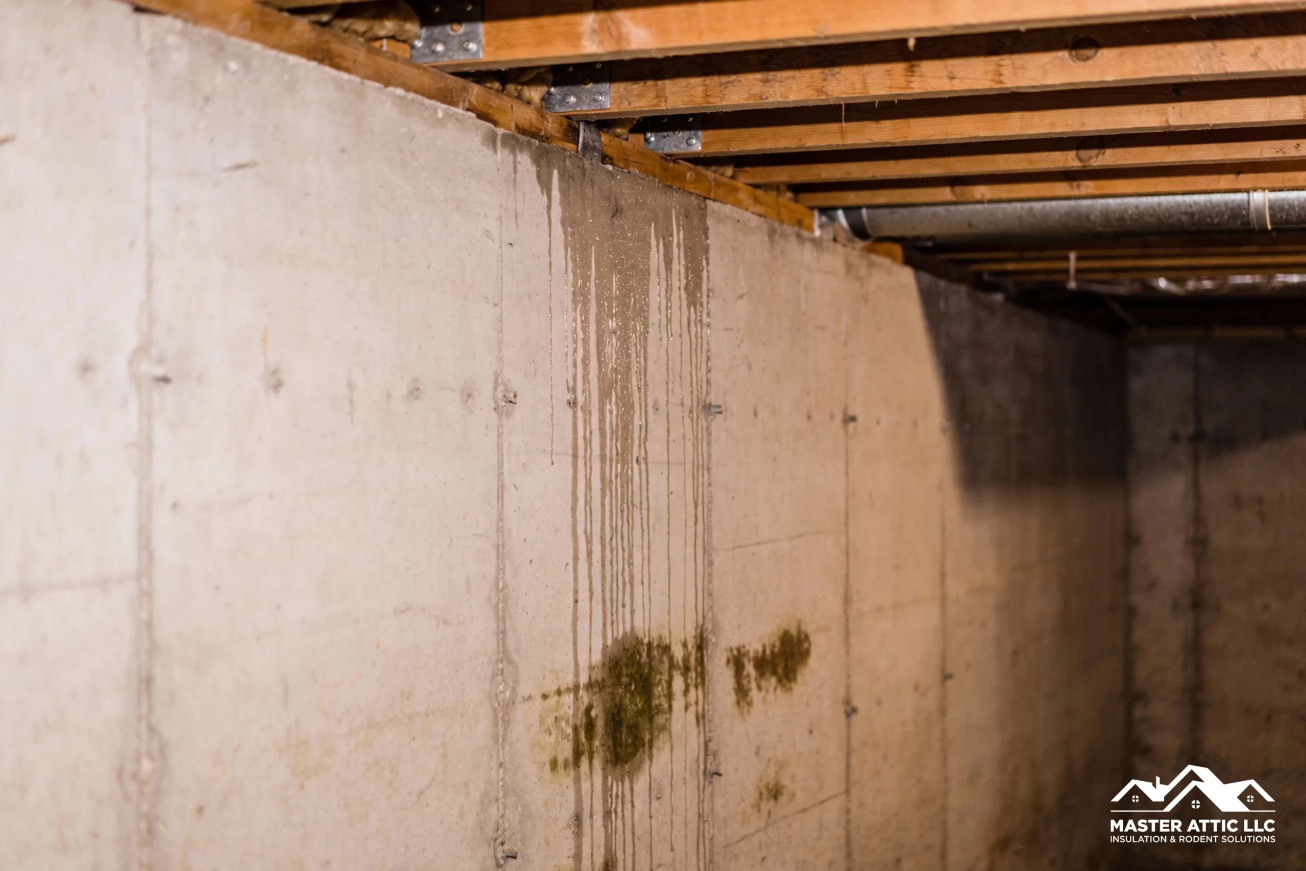Feature Image How Moisture in Your Crawlspace is Costing You Money scaled