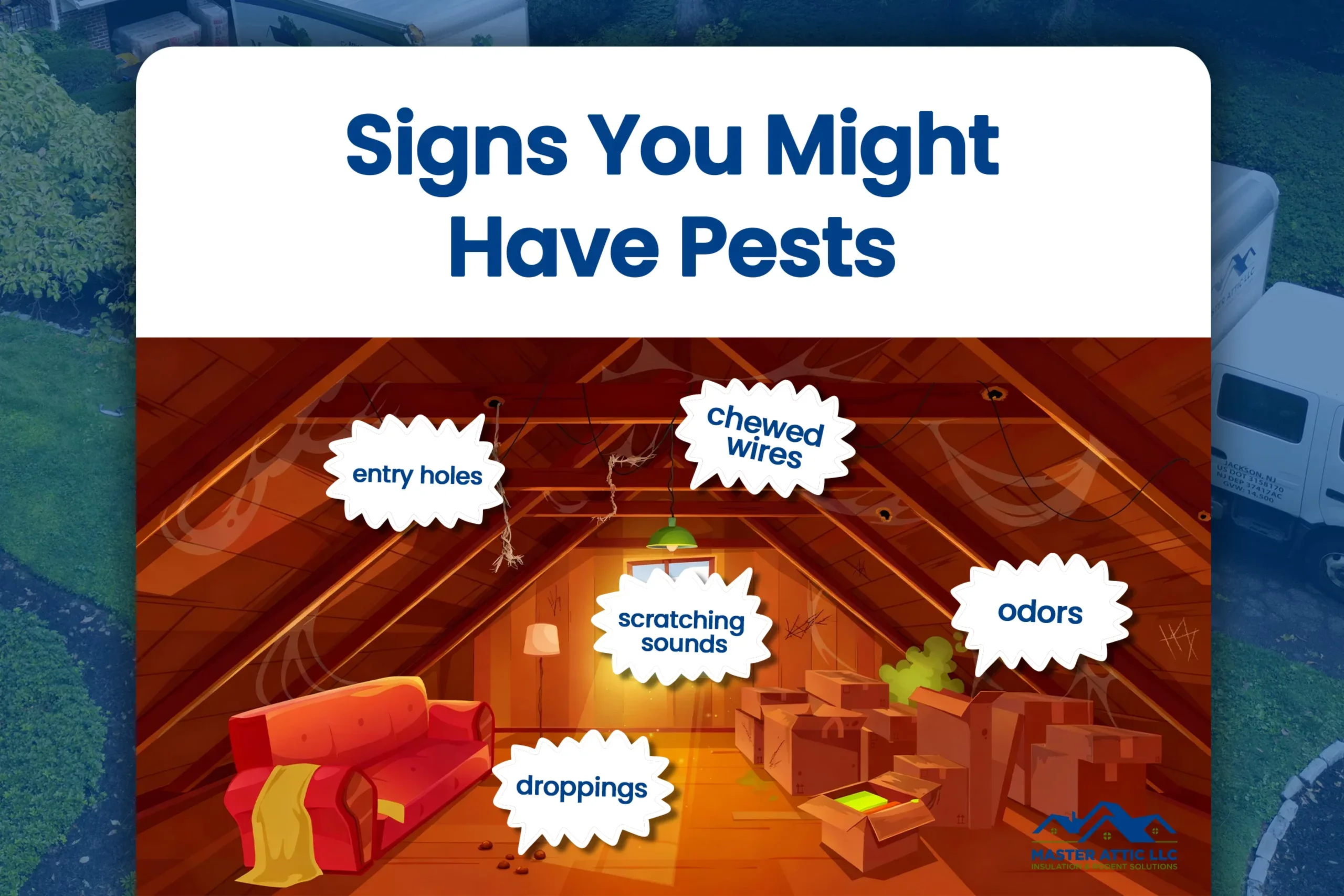 Signs You Might Have Pests in Your Home or Attic.