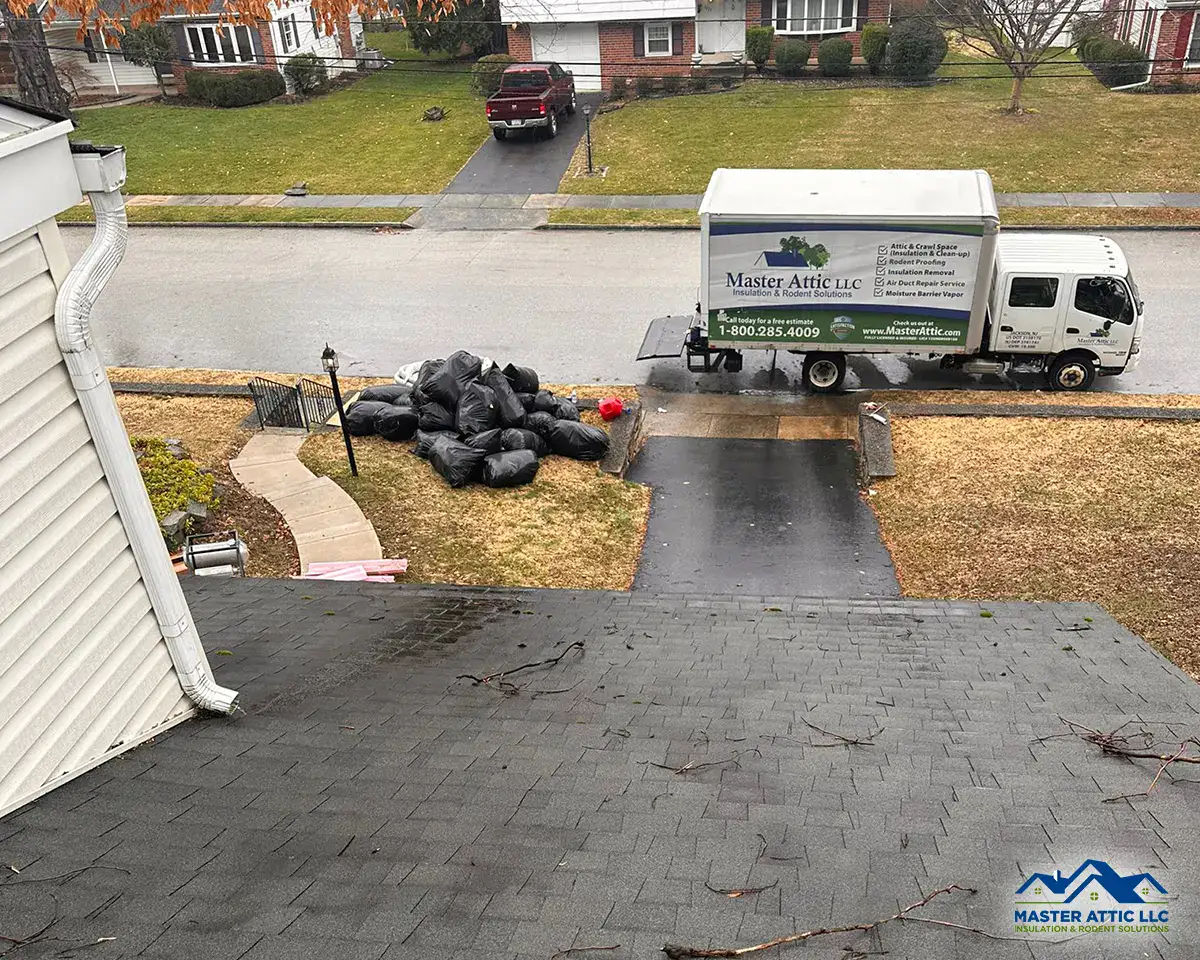 Master Attic Your GoTo Professionals For Spring Cleaning