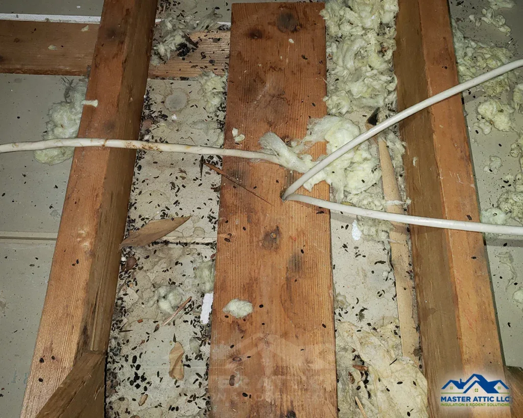 Signs of Mice in the Attic