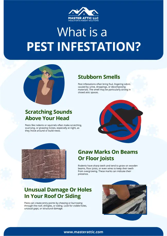 What is a pest infestation?