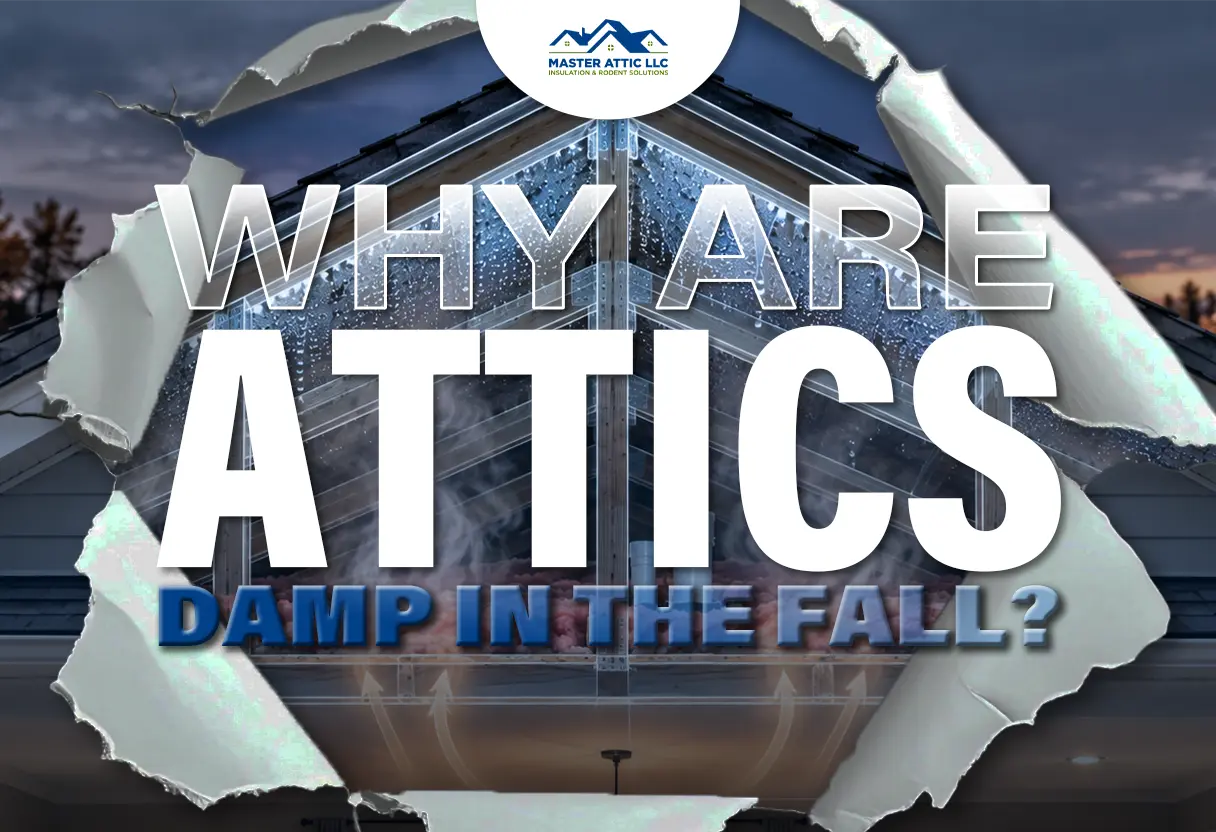 Why Are Attics Damp In The Fall