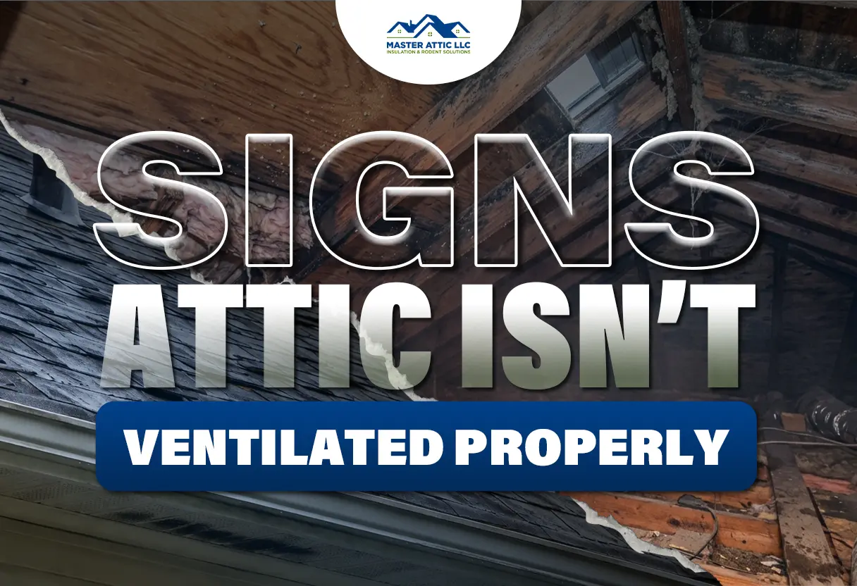 Signs Attic Isn’t Ventilated Properly