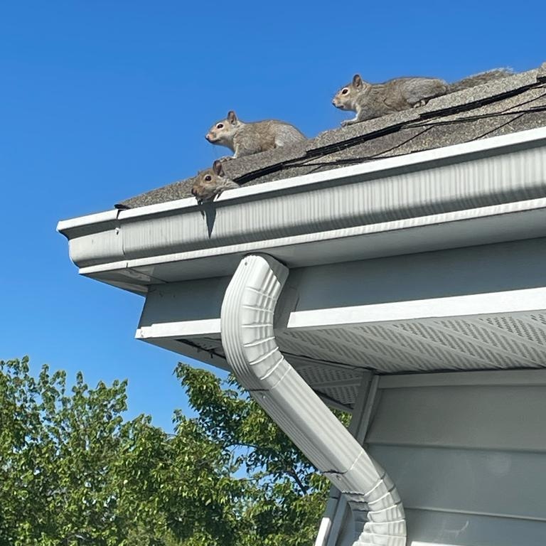 7 Reasons Why You Should Get Your Attic Insulation Replaced For The Summer