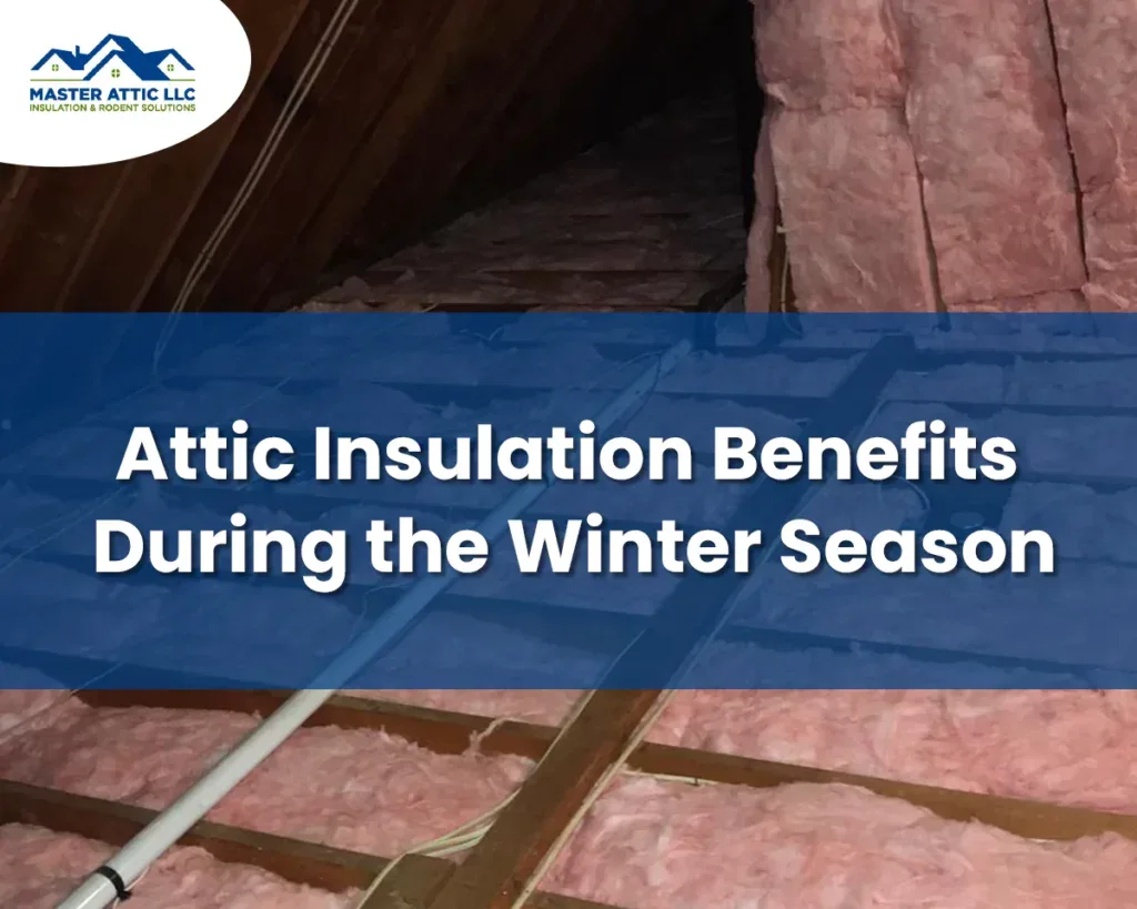 Attic Insulation Benefits During the Winter Season