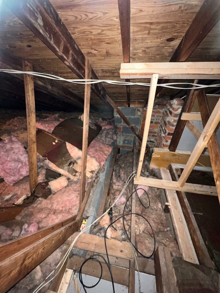 Attic Rodent Removal: Why You Should Leave It to the Professionals​