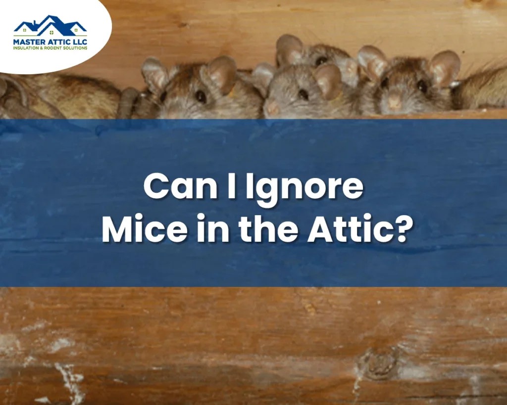 Can I Ignore Mice in the Attic?