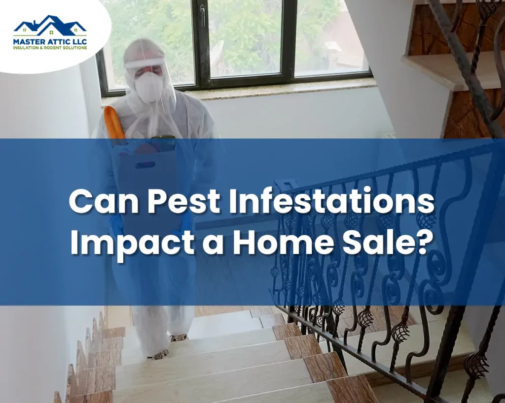 Can Pest Infestations Impact a Home Sale?