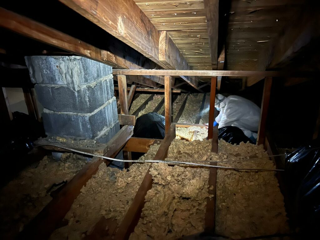 Everything You Need to Know About Crawl Space Cleaning
