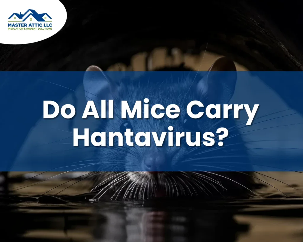 Do All Mice Carry Hantavirus?