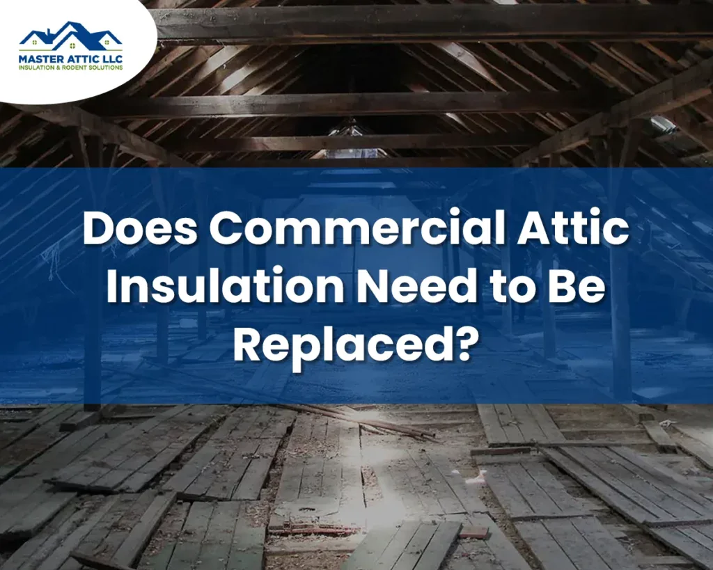 Does Commercial Attic Insulation Need to Be Replaced?