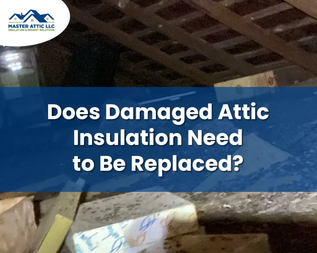 Does Damaged Attic Insulation Need to Be Replaced?