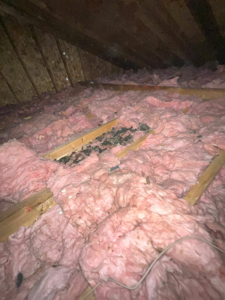 Hot or Not? Determining If Your Attic Insulation Needs an Upgrade