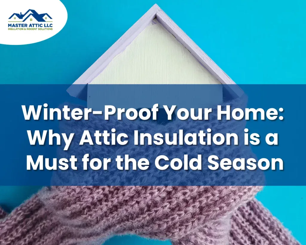 Winter-Proof Your Home: Why Attic Insulation is a Must for the Cold Season