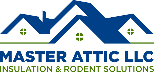Master Attic