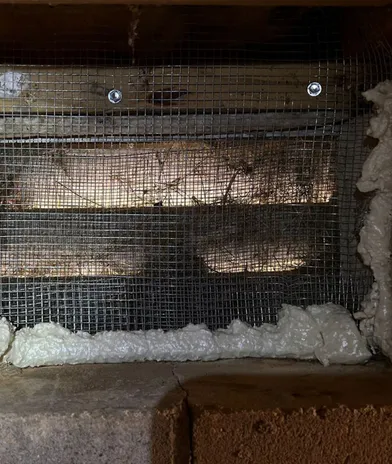 Rodent proofing an attic