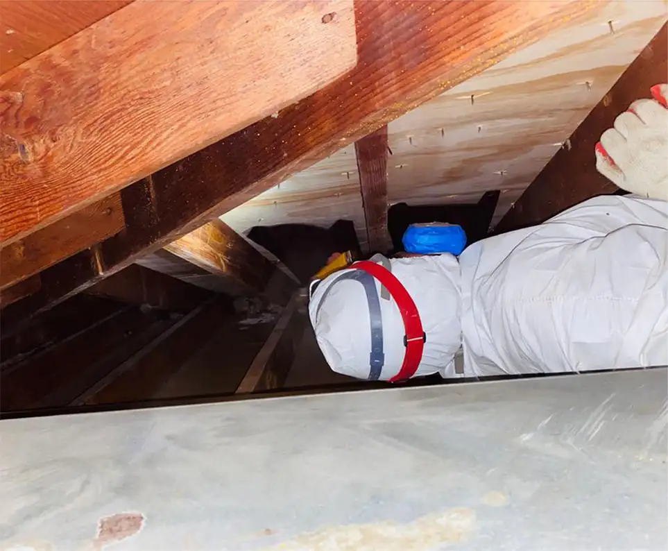 Master Attic quality assurance
