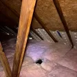 Photo shared by Petlor in their review