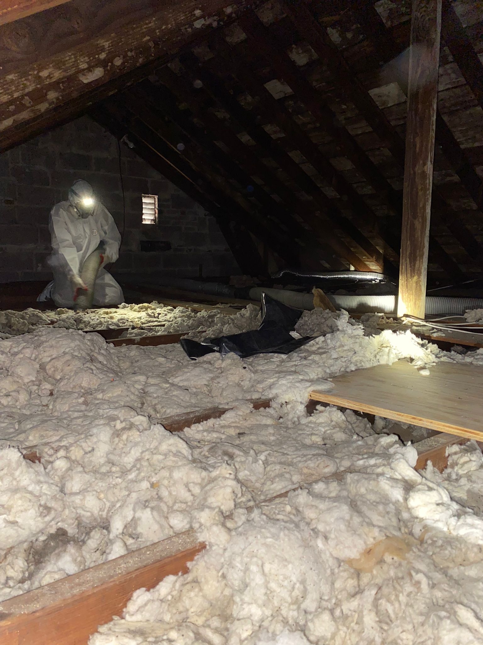 Removal of Attic Insulation with Sanitizing, Proofing and New Batts