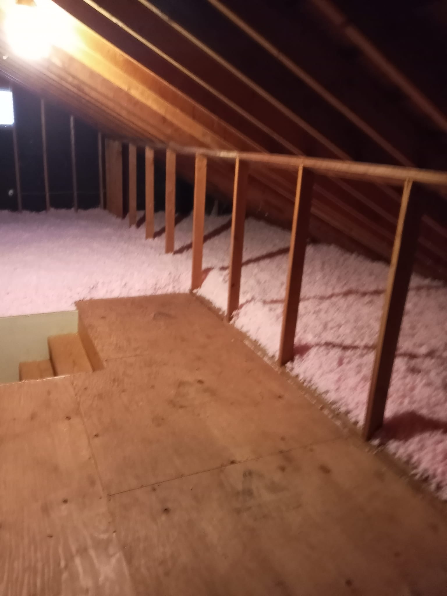 Attic Remediation