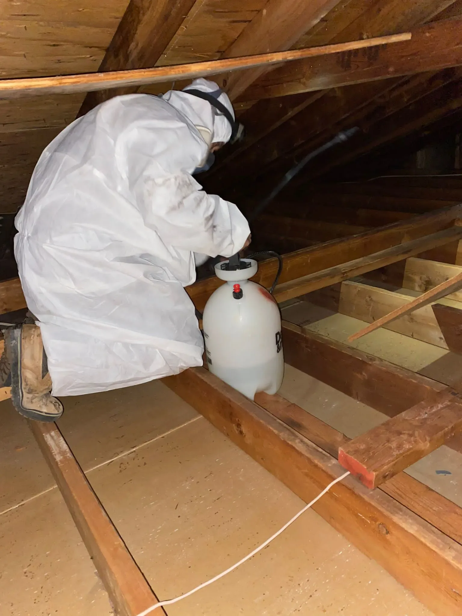 Attic Sanitizing