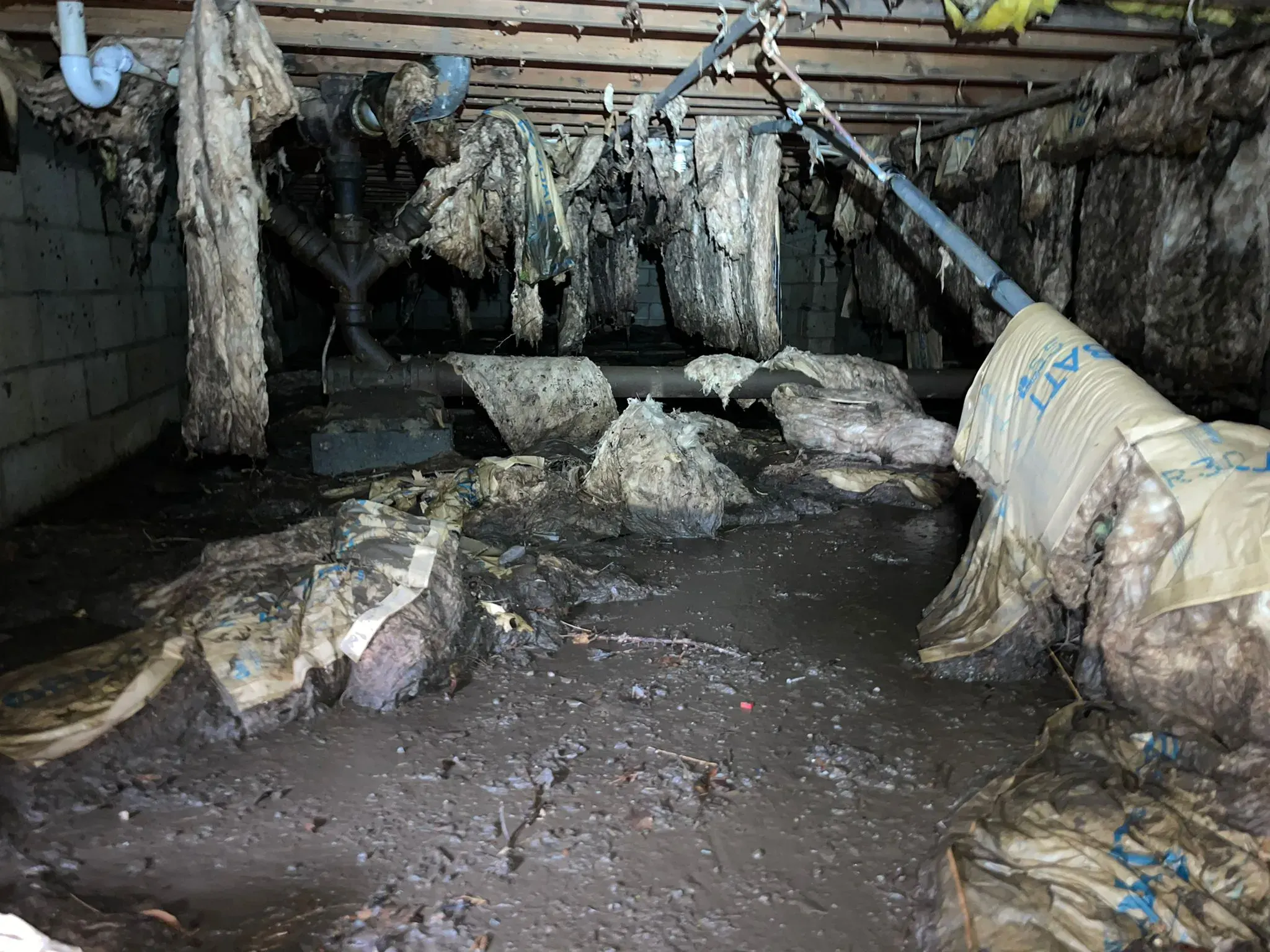 Crawlspace & Basement Cleanup
