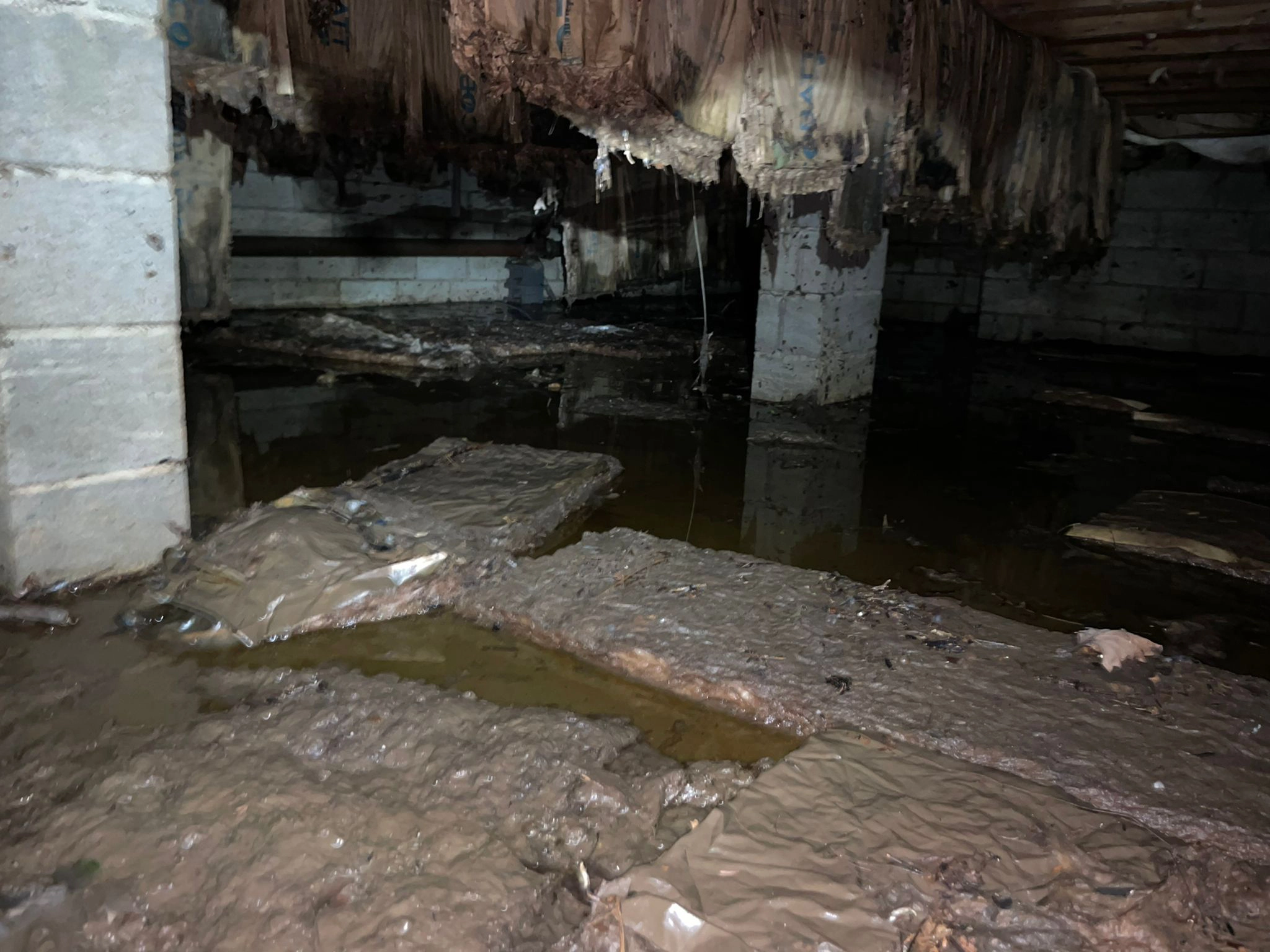 A damp crawl space before Master Attic service, wet insulation hanging from the joists and standing water
