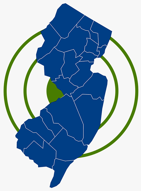Icon representing the region that the company offers its services