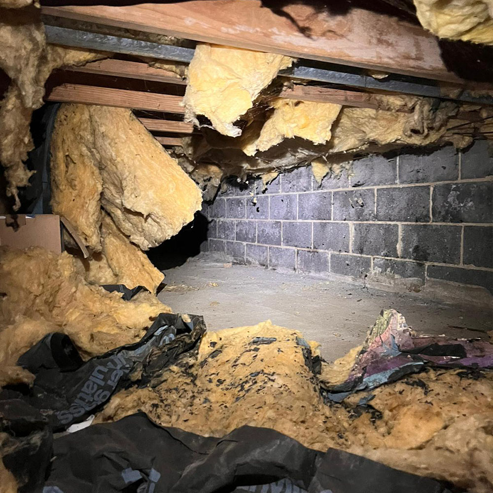 Image of a crawl space where the insulation has been ripped out