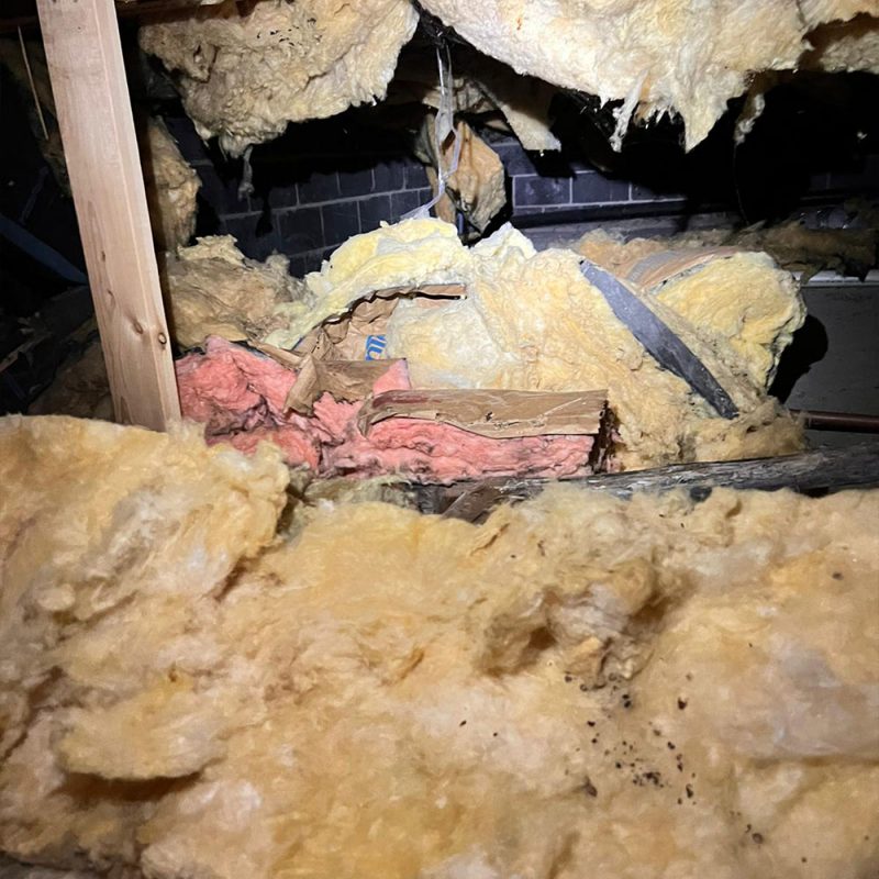 insulation removal crawlspace 03