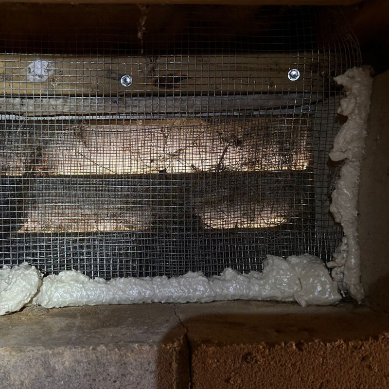 1 Attic Rodent Proofing In New Jersey & Pennsylvania