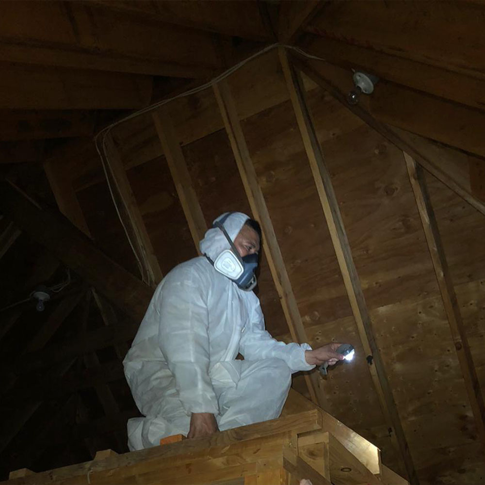 Image of a man disinfecting an attic