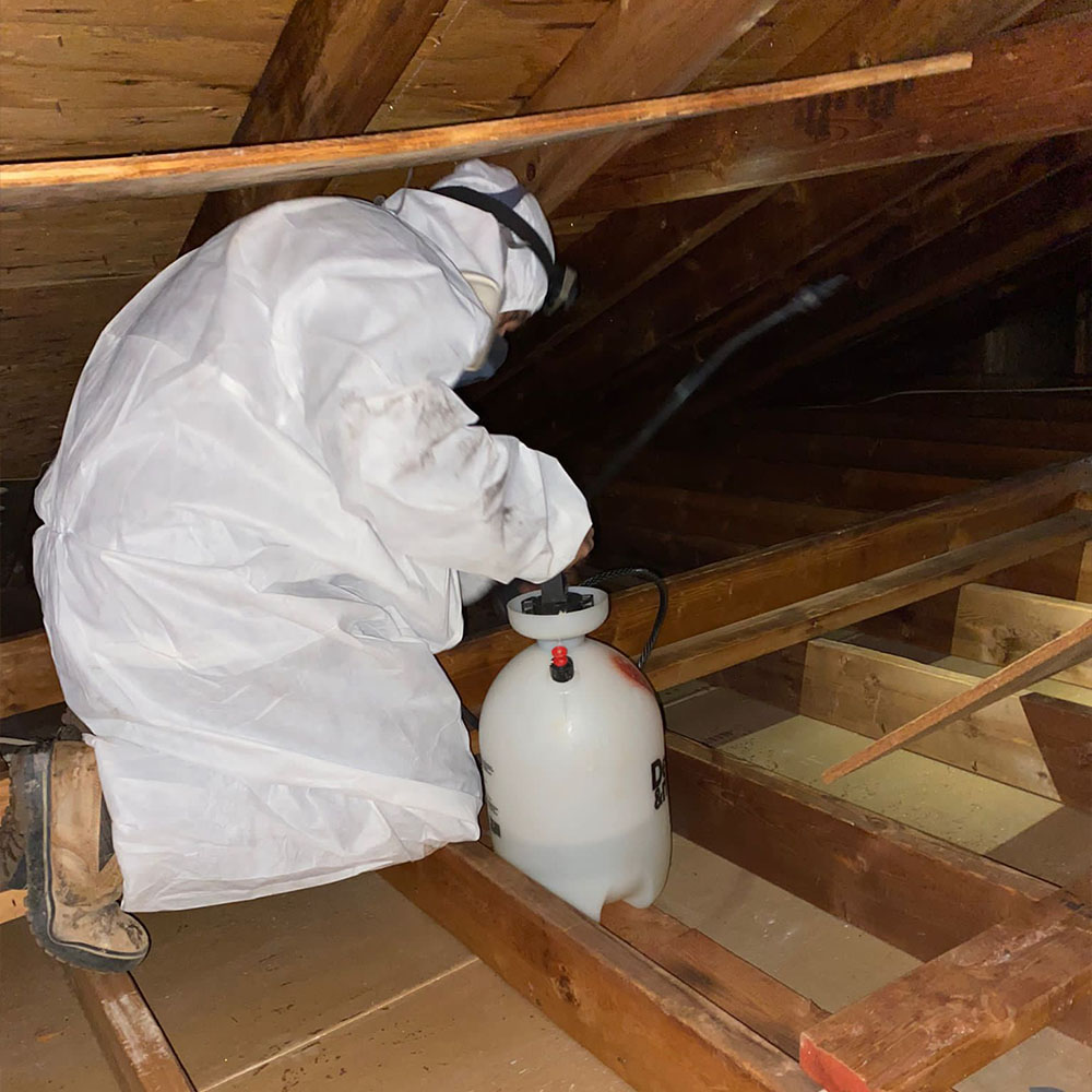 Image of a Master Atic employee performing an attic decontamination process