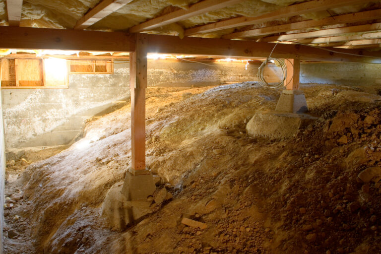 7 Signs You Need to Have Your Crawl Space Cleaned