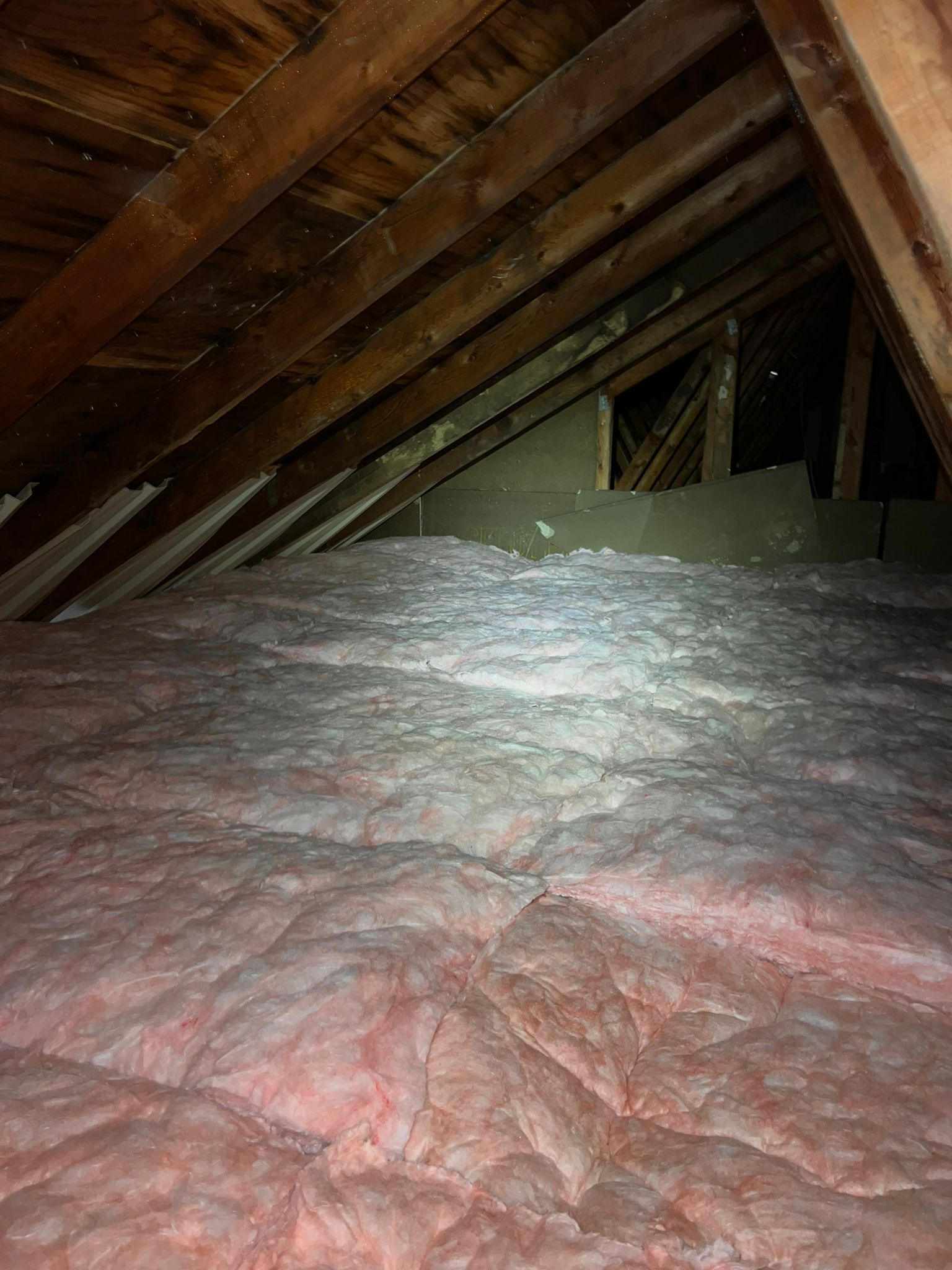 Attic Insulation Removal | Princeton Junction, New Jersey