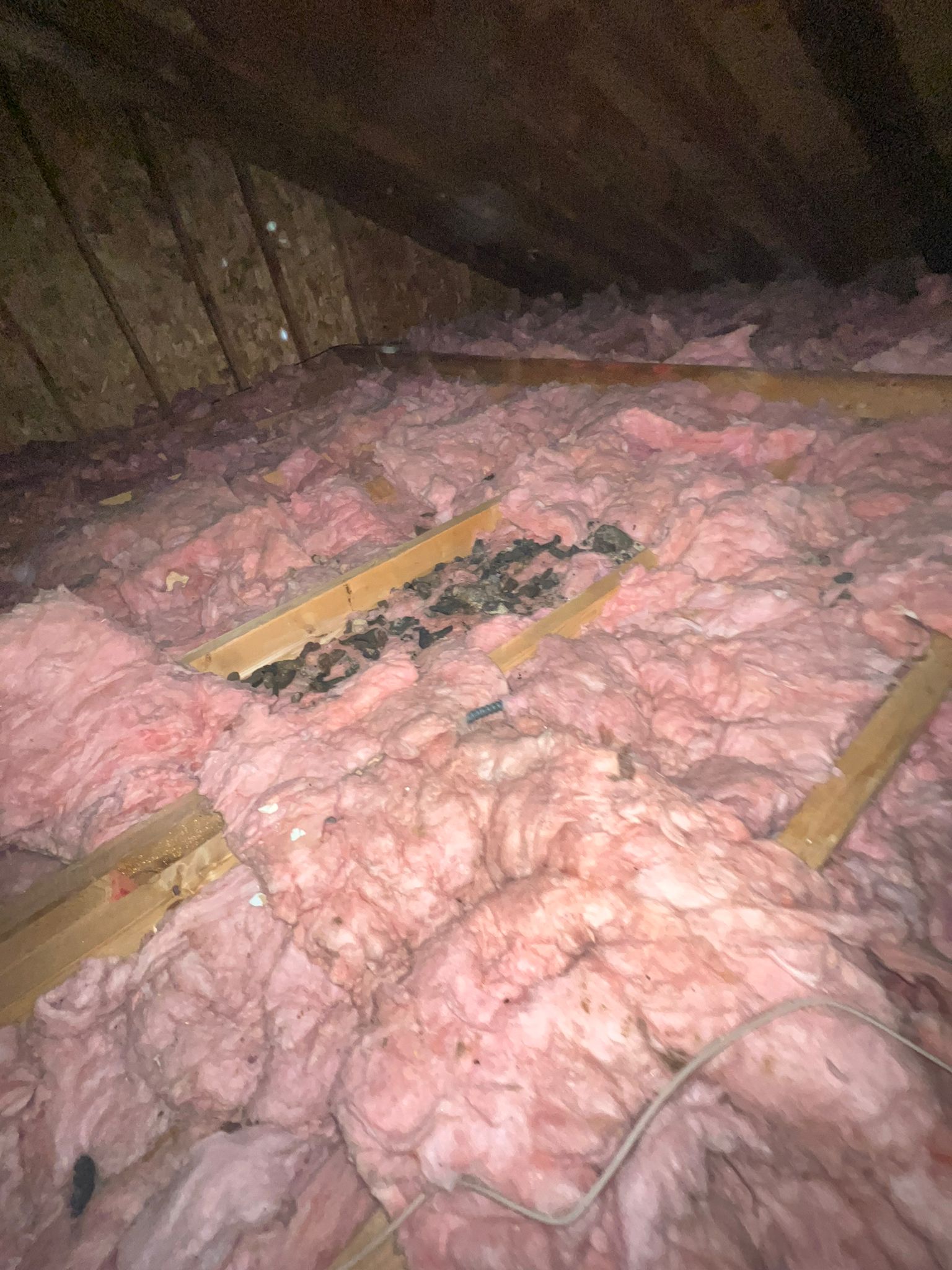 Determining If Your Attic Insulation Needs an Upgrade
