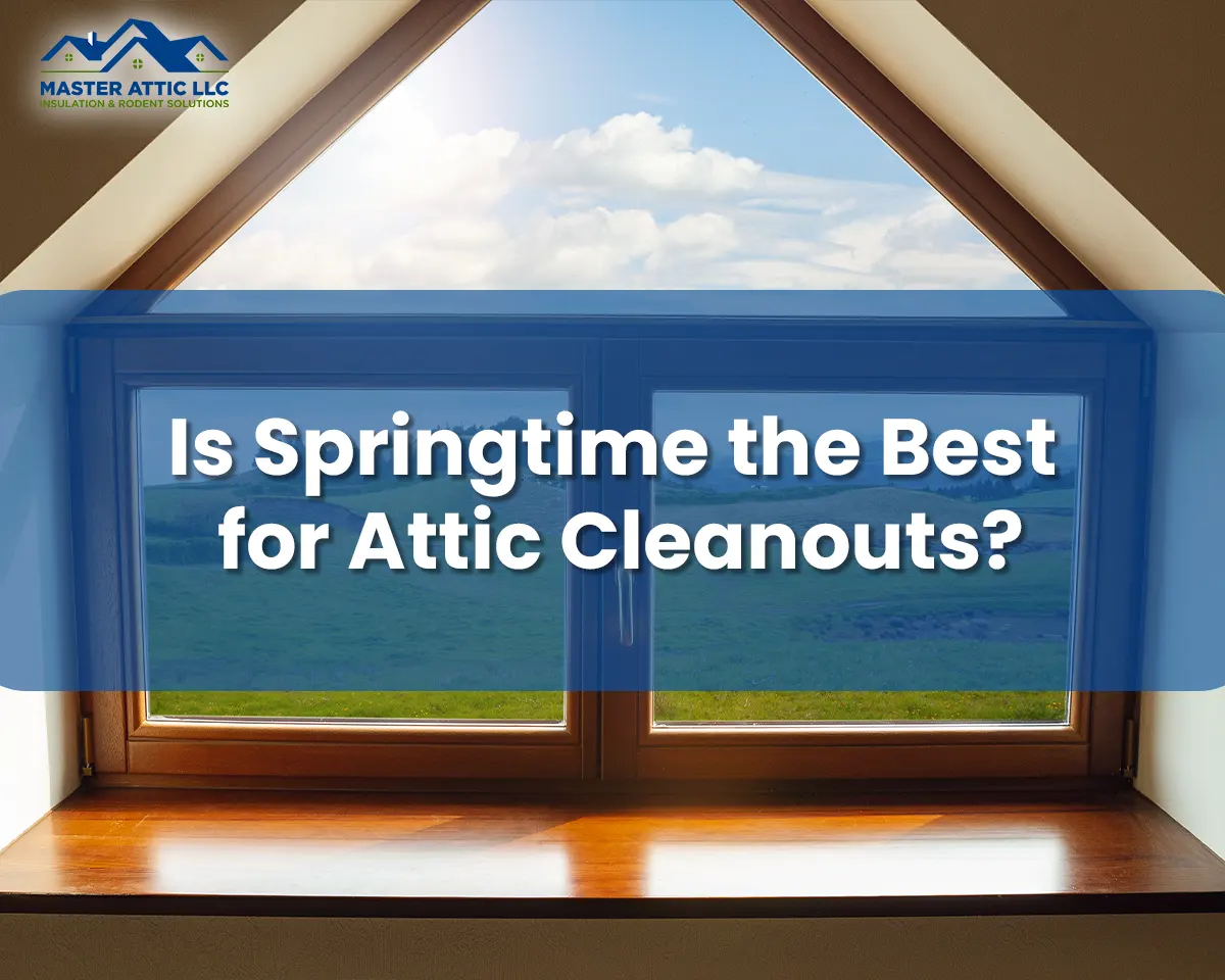 Is Springtime the Best for Attic Cleanouts