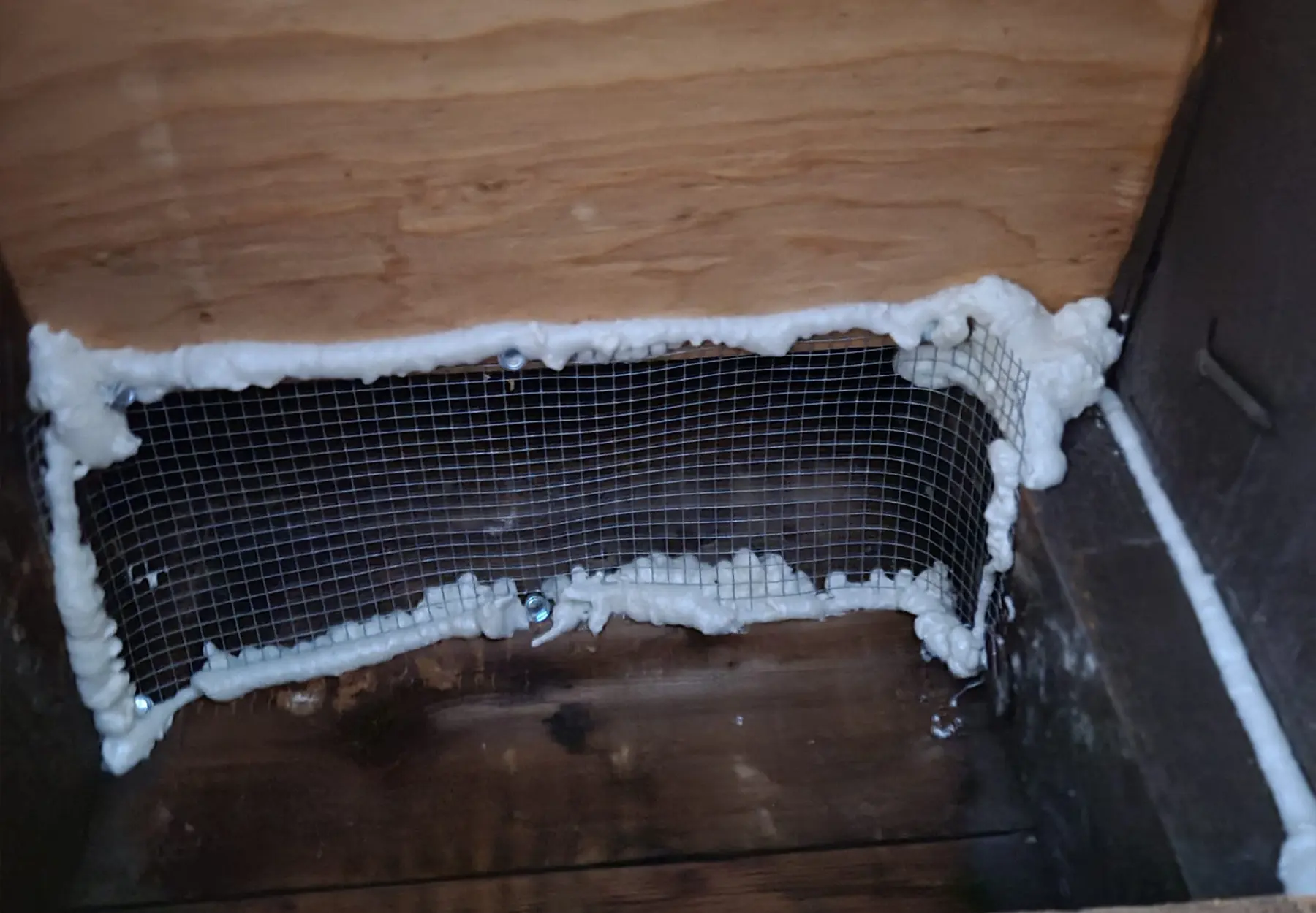 Rodent Proofing by Master Attic
