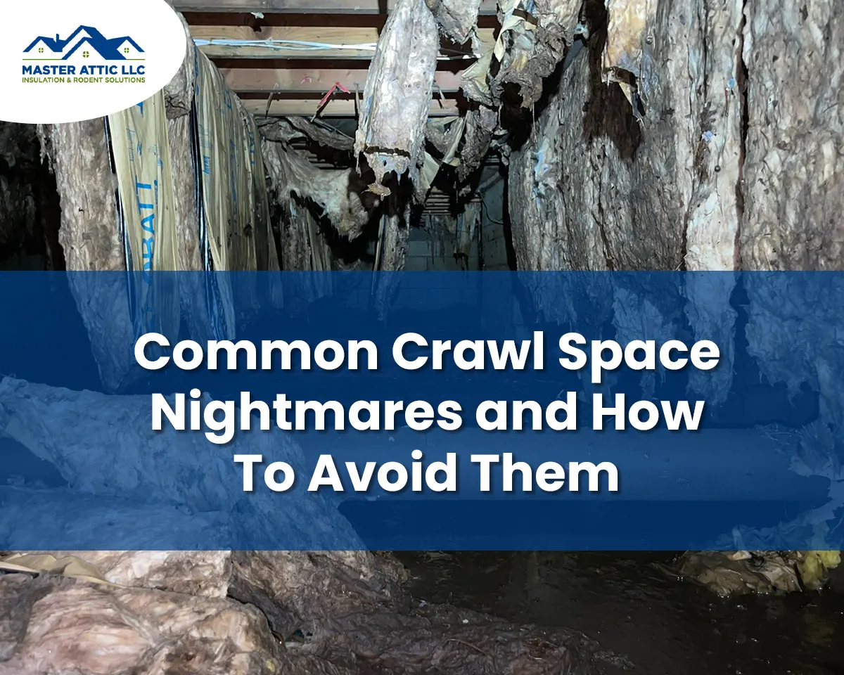 Attic Cleanup Services in Carteret, New Jersey 19 Common Crawl Space Nightmares and How To Avoid Them