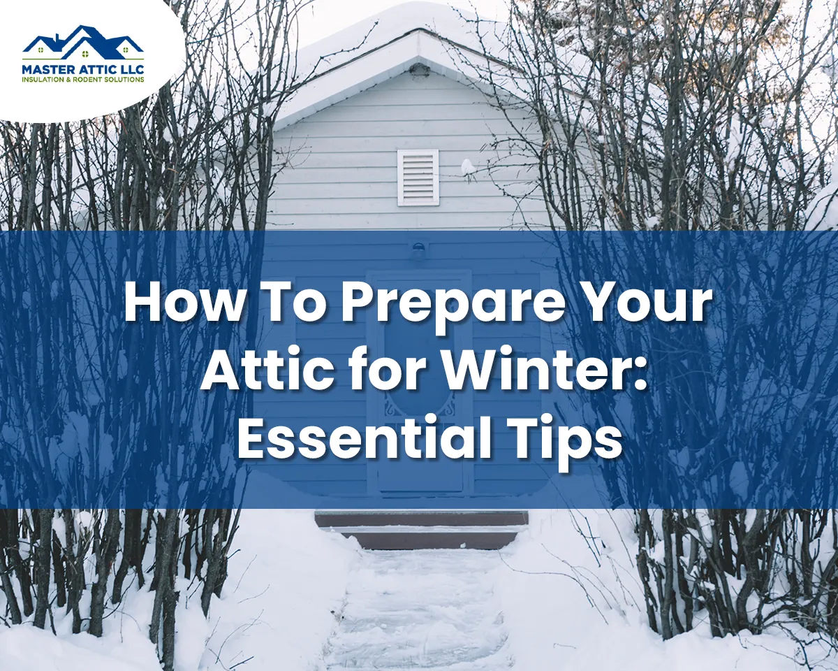 What Part Of a House Should You Insulate First? 10 How to Prepare Your Attic for Winter Essential Tips