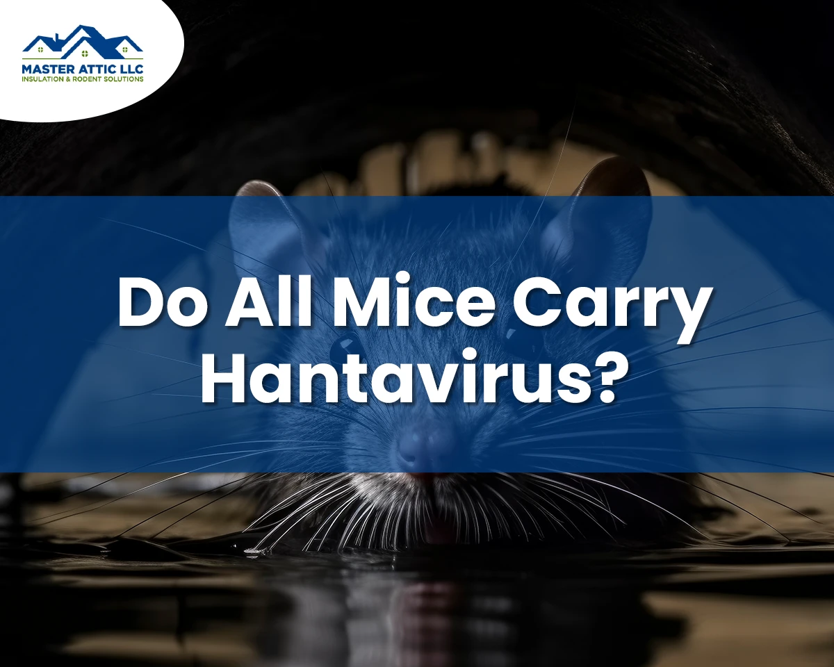 Do All Mice Carry Hantavirus
