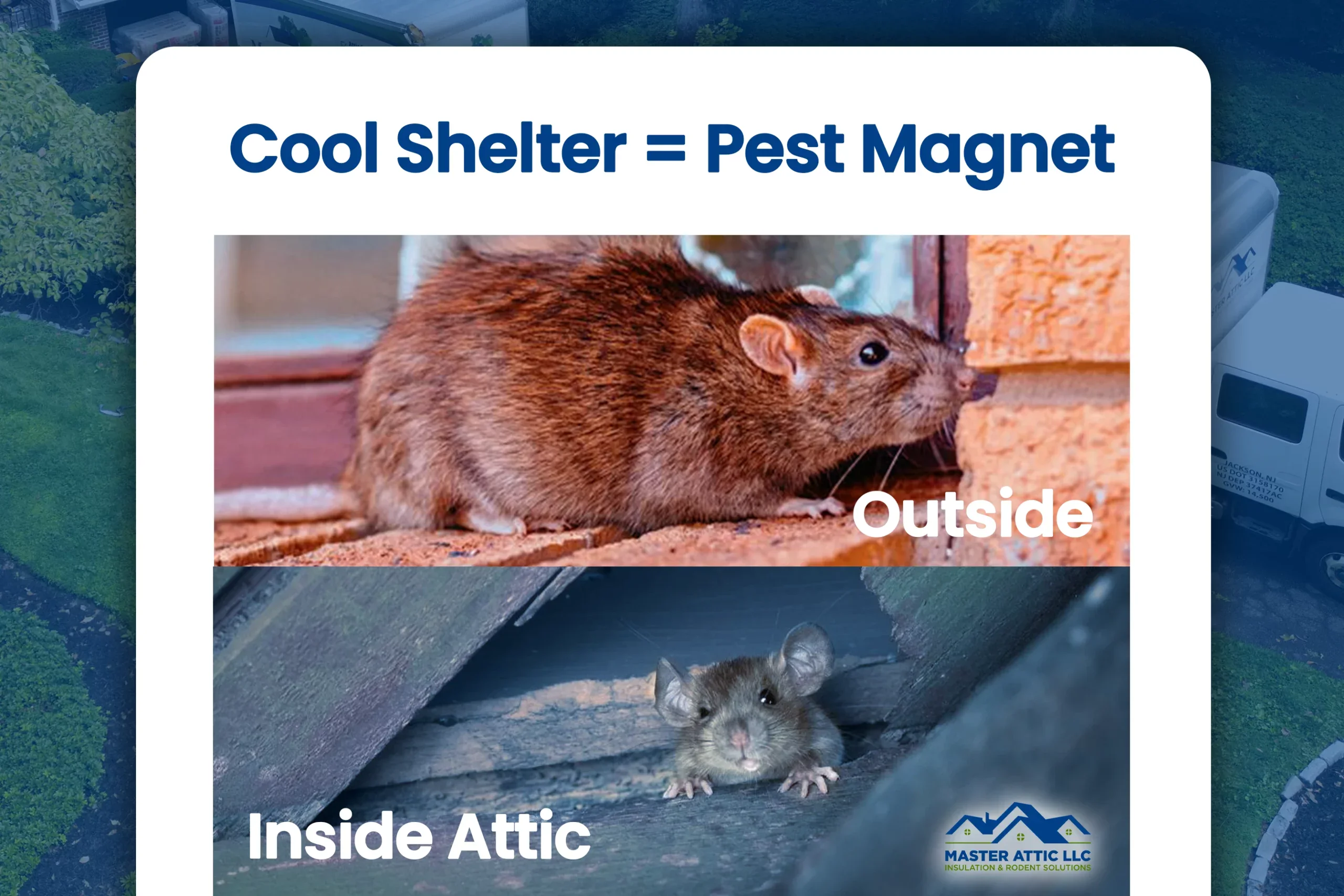 Buildings Offer Cool Shelter