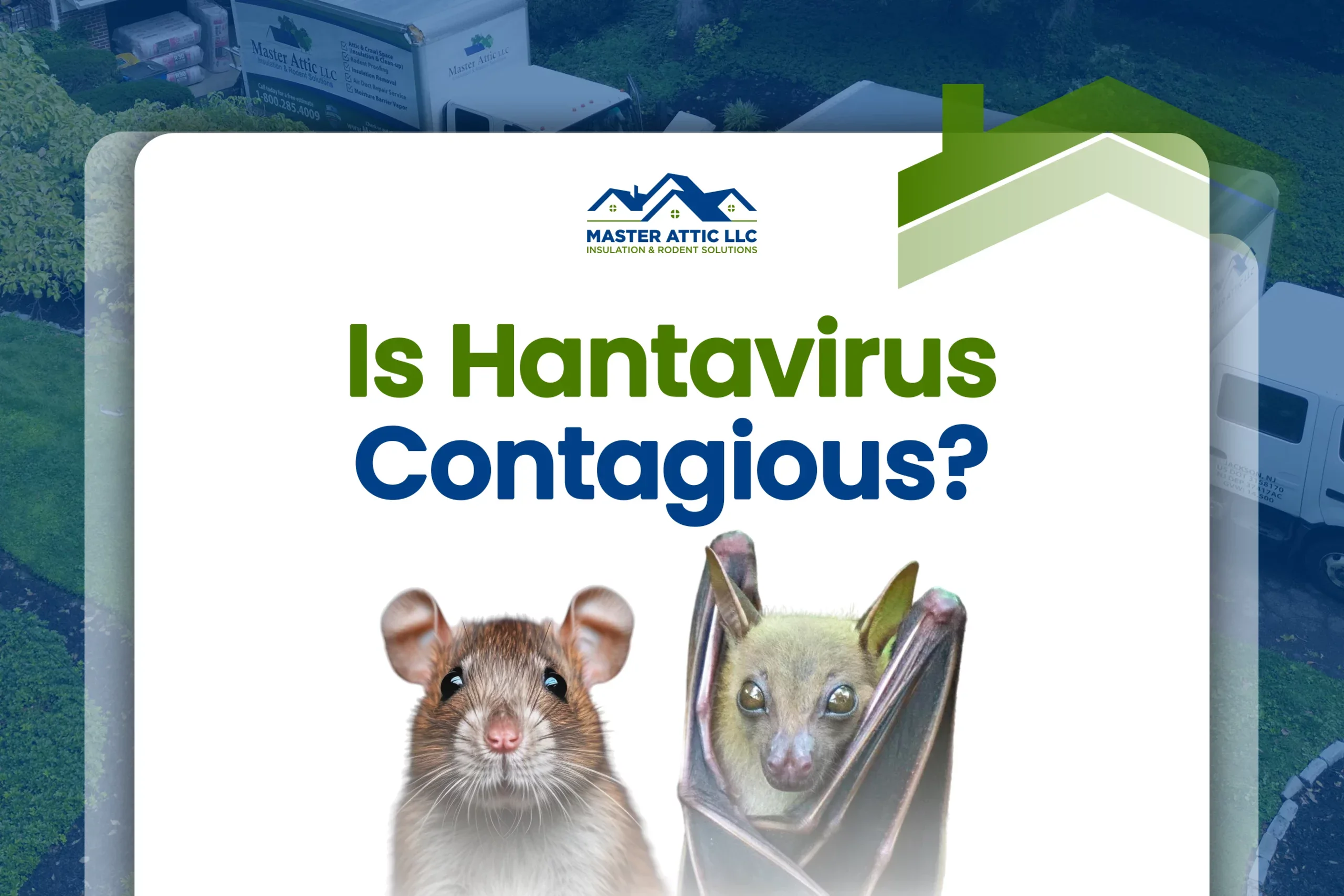 Is Hantavirus Contagious